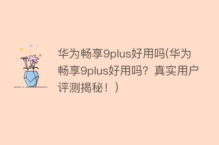 华为畅享9plus好用吗(华为畅享9plus好用吗？真实用户评测揭秘！)