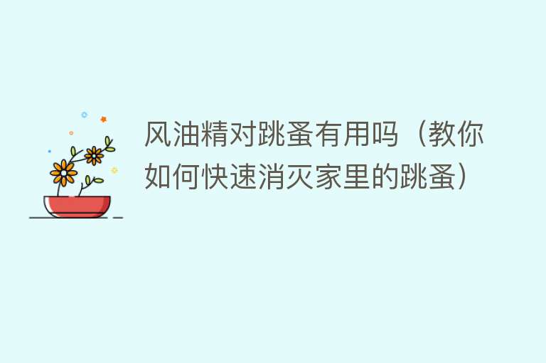 风油精对跳蚤有用吗（教你如何快速消灭家里的跳蚤）