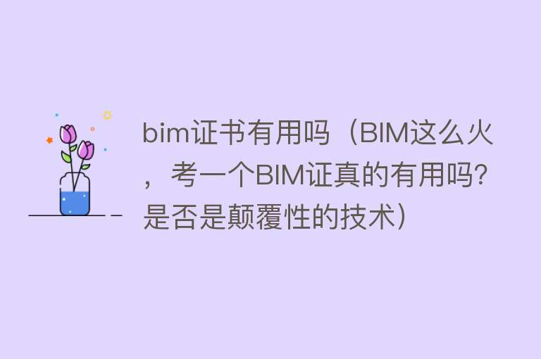 bim证书有用吗（BIM这么火，考一个BIM证真的有用吗？是否是颠覆性的技术）