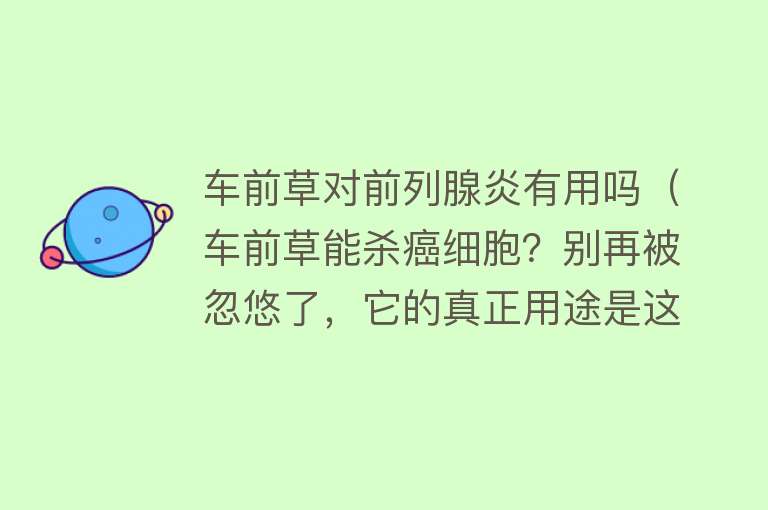 车前草对前列腺炎有用吗（车前草能杀癌细胞？别再被忽悠了，它的真正用途是这个）