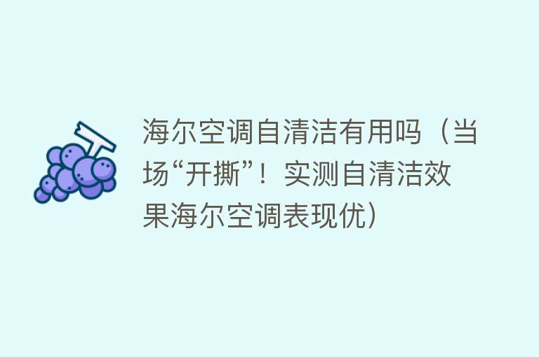 海尔空调自清洁有用吗（当场“开撕”！实测自清洁效果海尔空调表现优）