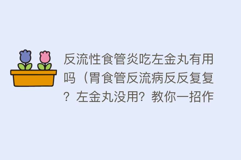 反流性食管炎吃左金丸有用吗（胃食管反流病反反复复？左金丸没用？教你一招作用翻倍）