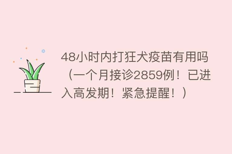 48小时内打狂犬疫苗有用吗（一个月接诊2859例！已进入高发期！紧急提醒！）