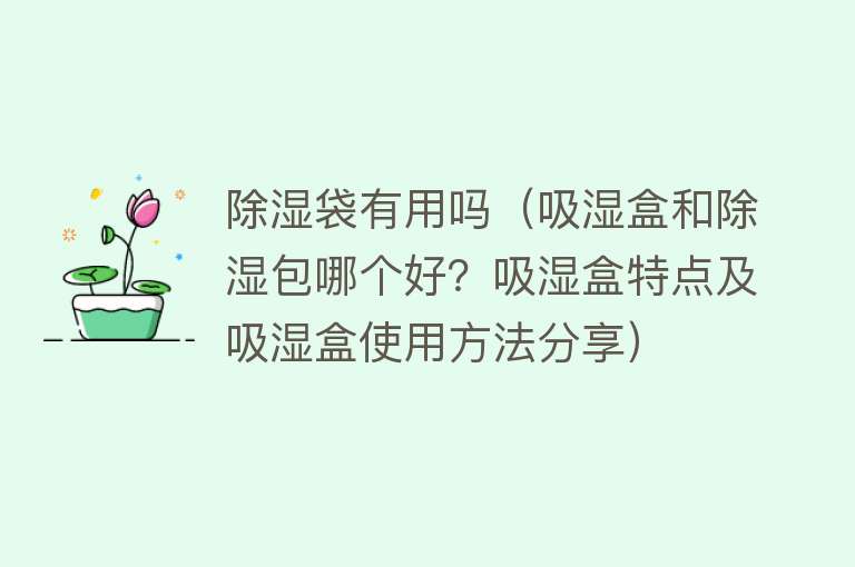 除湿袋有用吗（吸湿盒和除湿包哪个好？吸湿盒特点及吸湿盒使用方法分享）