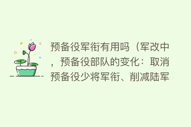 预备役军衔有用吗（军改中，预备役部队的变化：取消预备役少将军衔、削减陆军预备役）