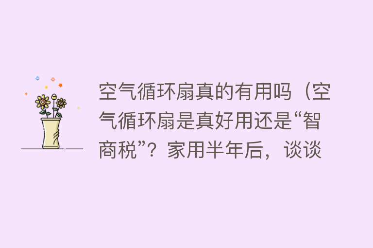 空气循环扇真的有用吗（空气循环扇是真好用还是“智商税”？家用半年后，谈谈我的感受）