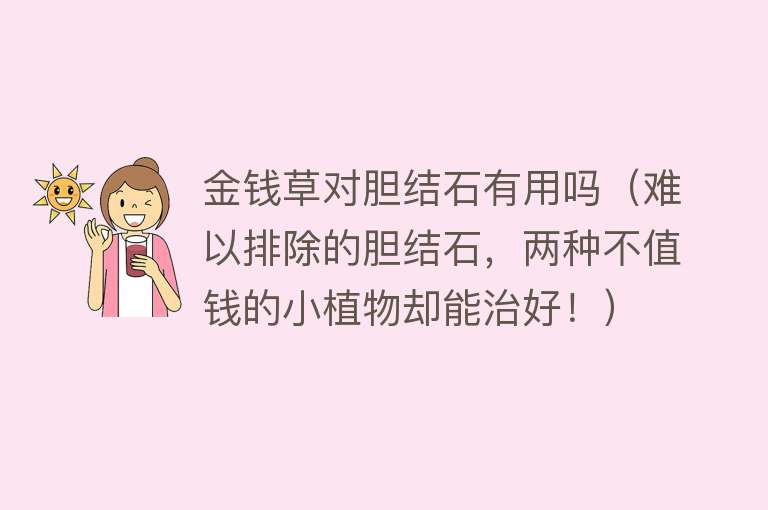 金钱草对胆结石有用吗（难以排除的胆结石，两种不值钱的小植物却能治好！）