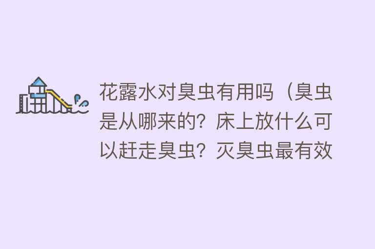 花露水对臭虫有用吗（臭虫是从哪来的？床上放什么可以赶走臭虫？灭臭虫最有效的办法！）