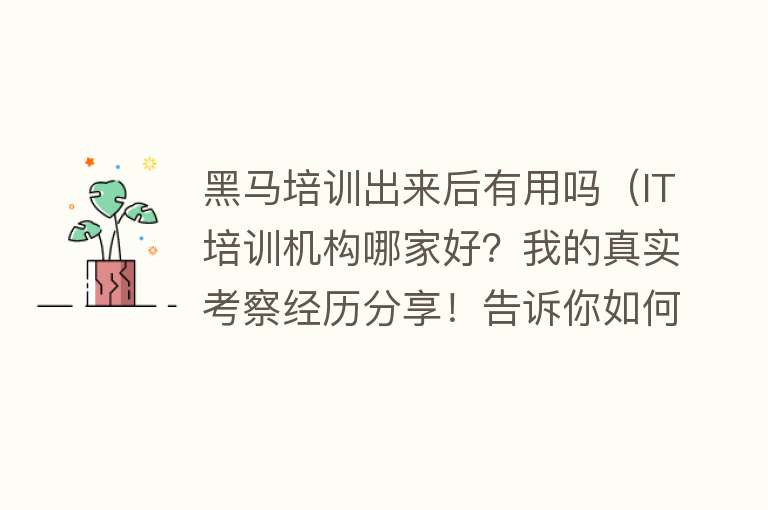 黑马培训出来后有用吗（IT培训机构哪家好？我的真实考察经历分享！告诉你如何选择不踩坑）