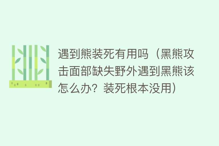 遇到熊装死有用吗（黑熊攻击面部缺失野外遇到黑熊该怎么办？装死根本没用）