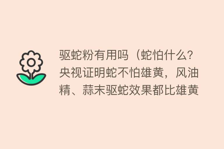 驱蛇粉有用吗（蛇怕什么？央视证明蛇不怕雄黄，风油精、蒜末驱蛇效果都比雄黄强）