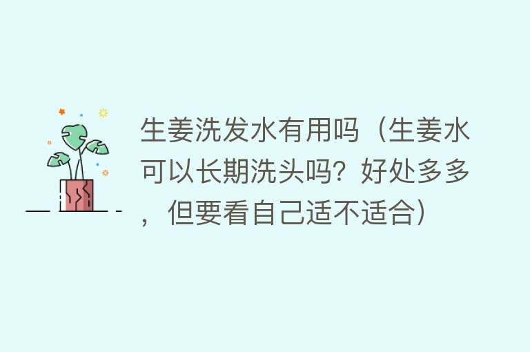 生姜洗发水有用吗（生姜水可以长期洗头吗？好处多多，但要看自己适不适合）