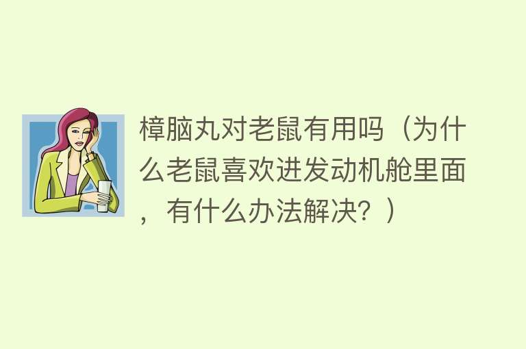 樟脑丸对老鼠有用吗（为什么老鼠喜欢进发动机舱里面，有什么办法解决？）