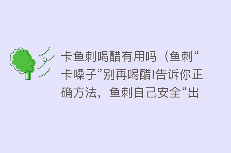 卡鱼刺喝醋有用吗（鱼刺“卡嗓子”别再喝醋!告诉你正确方法，鱼刺自己安全“出来”）