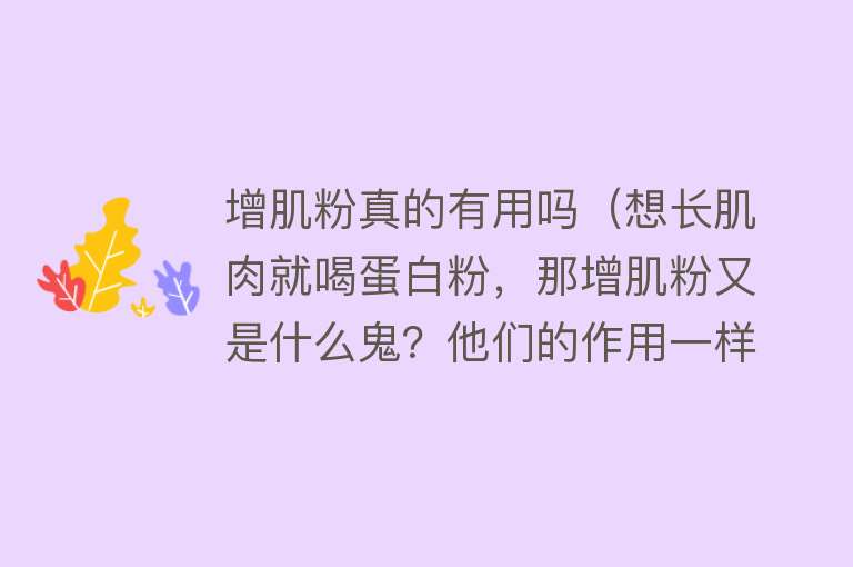 增肌粉真的有用吗（想长肌肉就喝蛋白粉，那增肌粉又是什么鬼？他们的作用一样吗？）