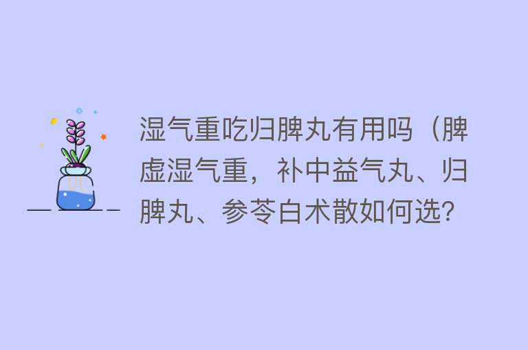 湿气重吃归脾丸有用吗（脾虚湿气重，补中益气丸、归脾丸、参苓白术散如何选？）