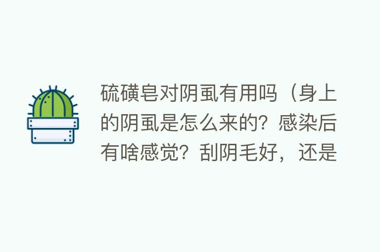 硫磺皂对阴虱有用吗（身上的阴虱是怎么来的？感染后有啥感觉？刮阴毛好，还是不刮好？）