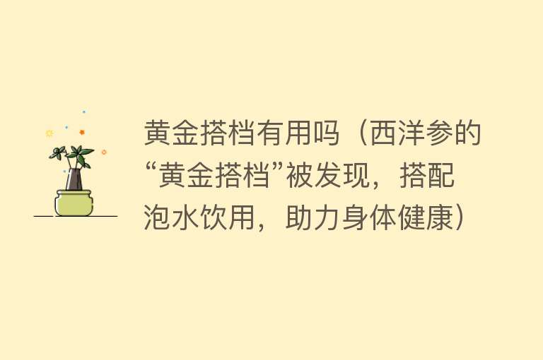 黄金搭档有用吗（西洋参的“黄金搭档”被发现，搭配泡水饮用，助力身体健康）