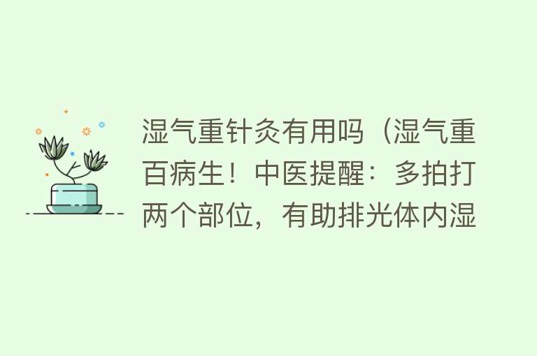 湿气重针灸有用吗（湿气重百病生！中医提醒：多拍打两个部位，有助排光体内湿气）