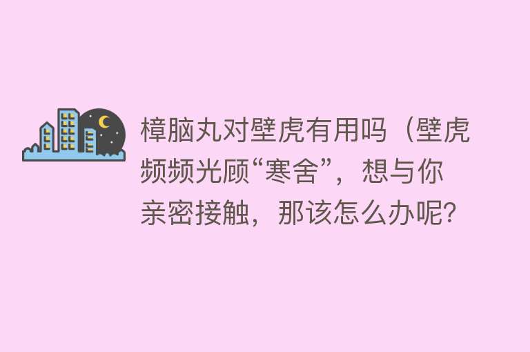 樟脑丸对壁虎有用吗（壁虎频频光顾“寒舍”，想与你亲密接触，那该怎么办呢？）