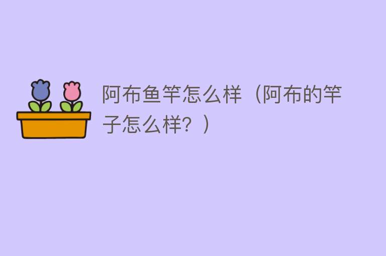 阿布鱼竿怎么样（阿布的竿子怎么样？）