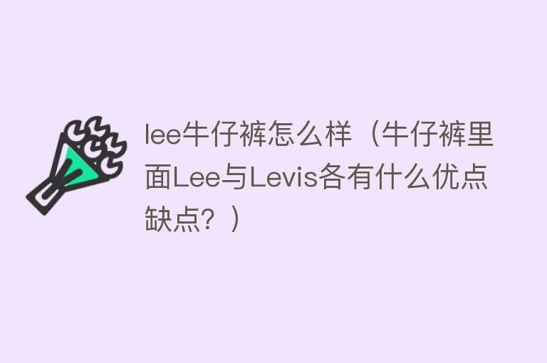 lee牛仔裤怎么样（牛仔裤里面Lee与Levis各有什么优点缺点？）