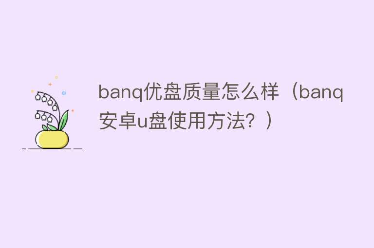 banq优盘质量怎么样（banq安卓u盘使用方法？）