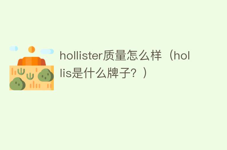 hollister质量怎么样（hollis是什么牌子？）